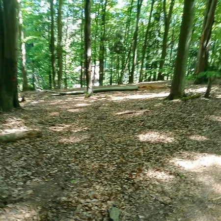 Lesna Ostoja Borek * Golczowice