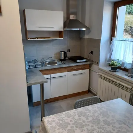 Apartment Lesna Ostoja Borek *