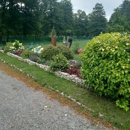 Apartment Lesna Ostoja Borek