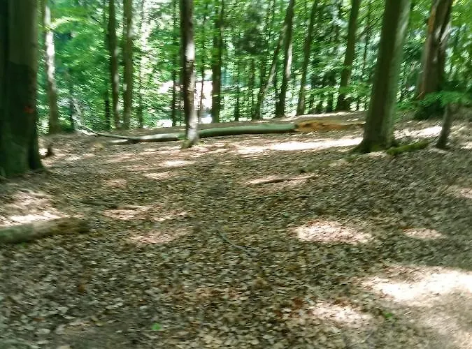 Lesna Ostoja Borek * Golczowice