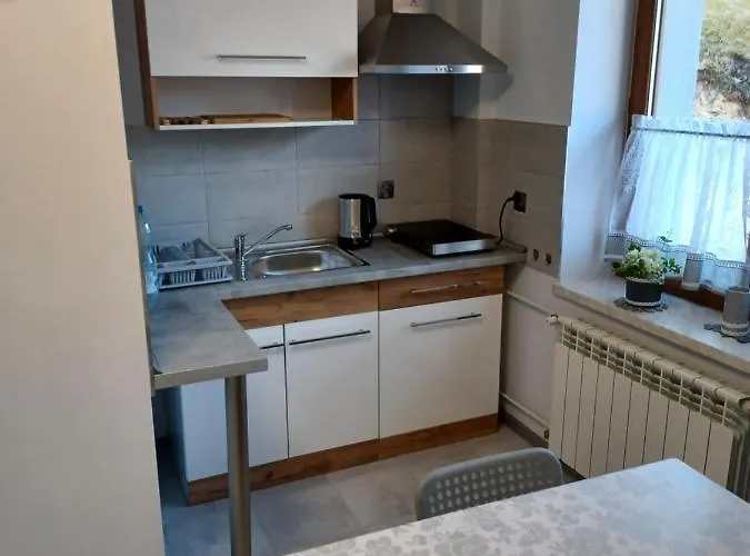 Appartamento Lesna Ostoja Borek *